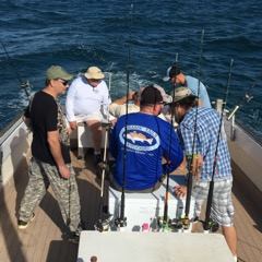 The FEW on the Cricket II