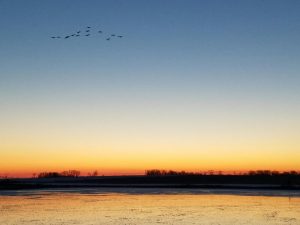  MO - Waterfowl Hunt - Foust Family Goose Hunt